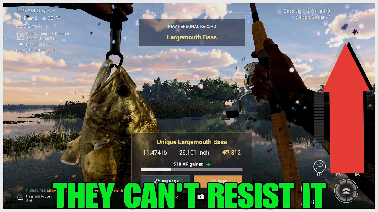 Unique Large Mouth Bass Can't Resist These Lures - Everglades - Fishing Planet