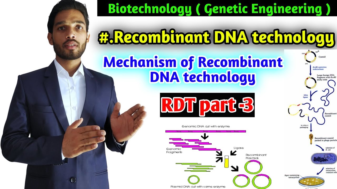 Mechanism of Recombinant DNA technology ||process of recombinant DNA technology||B.Sc 3 year Zoology