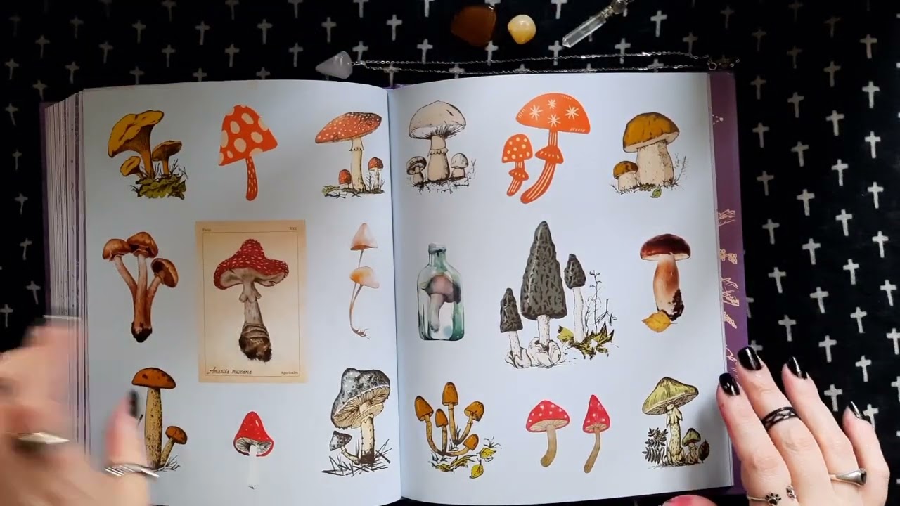 Apothecary Sticker Book flip through 💜🔮