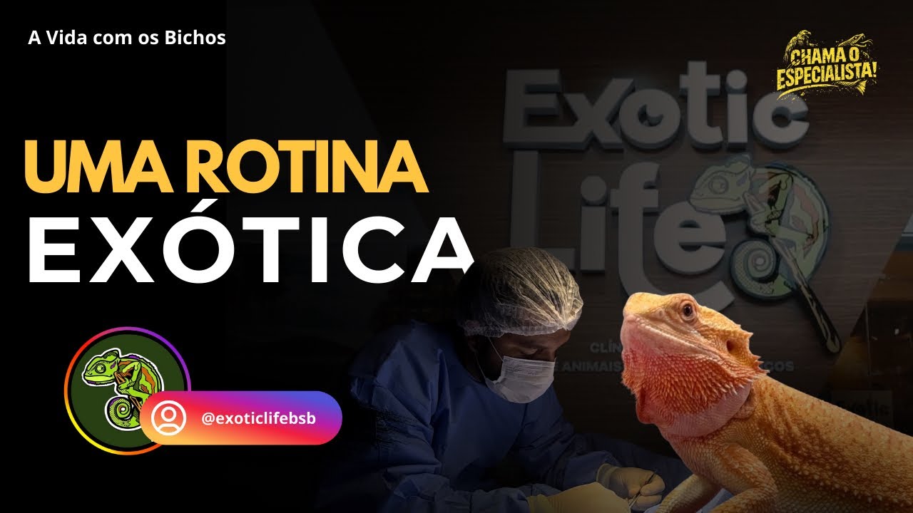 O Que Acontece em uma Clínica de Animais Exóticos? (Acompanhe Tudo!) | Ep. 007