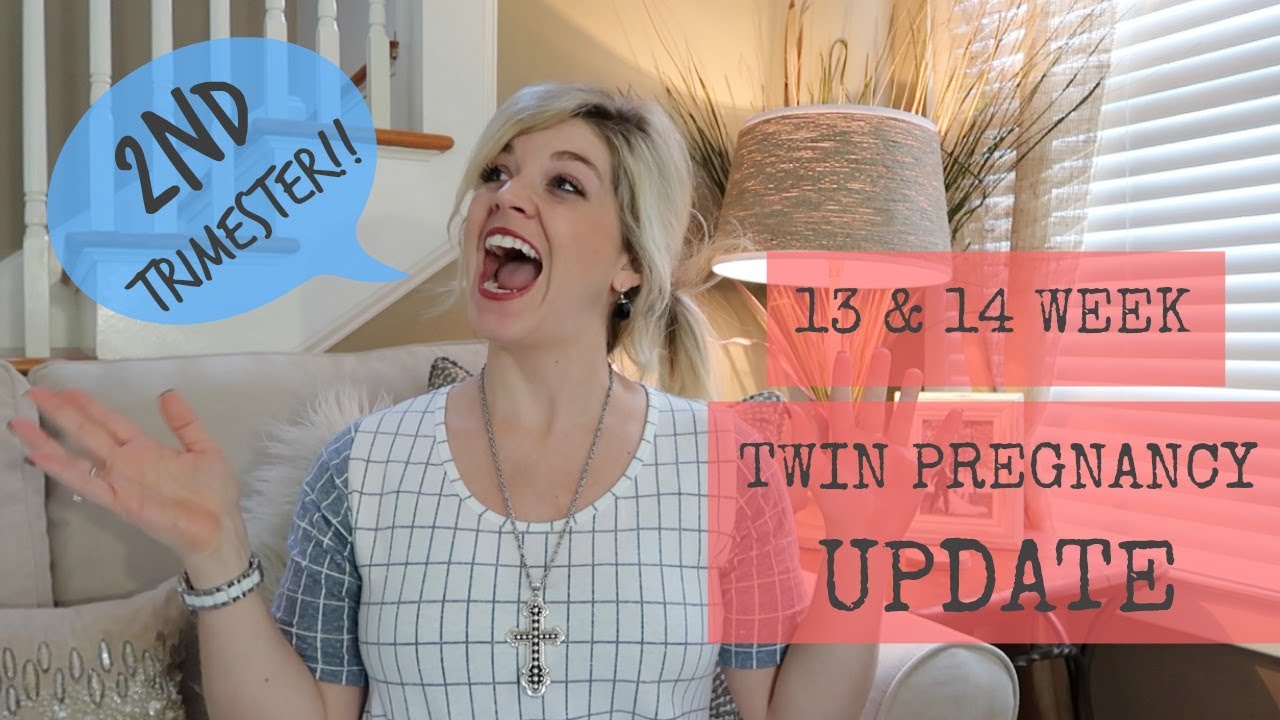 13 & 14 Week Twin Pregnancy Update : Bumpdate & Fetal Heart Doppler!