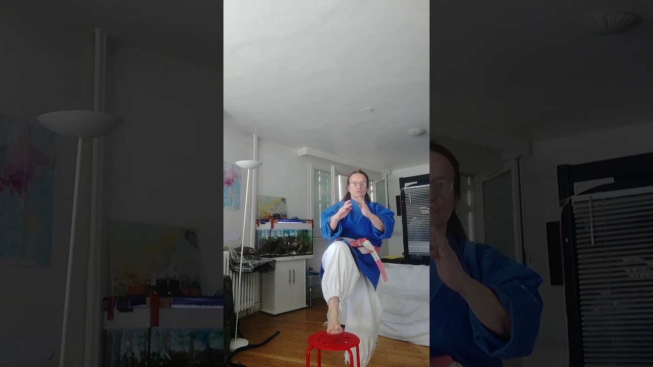 COMB Nanbudo Séance 2 techniques de coup de pied