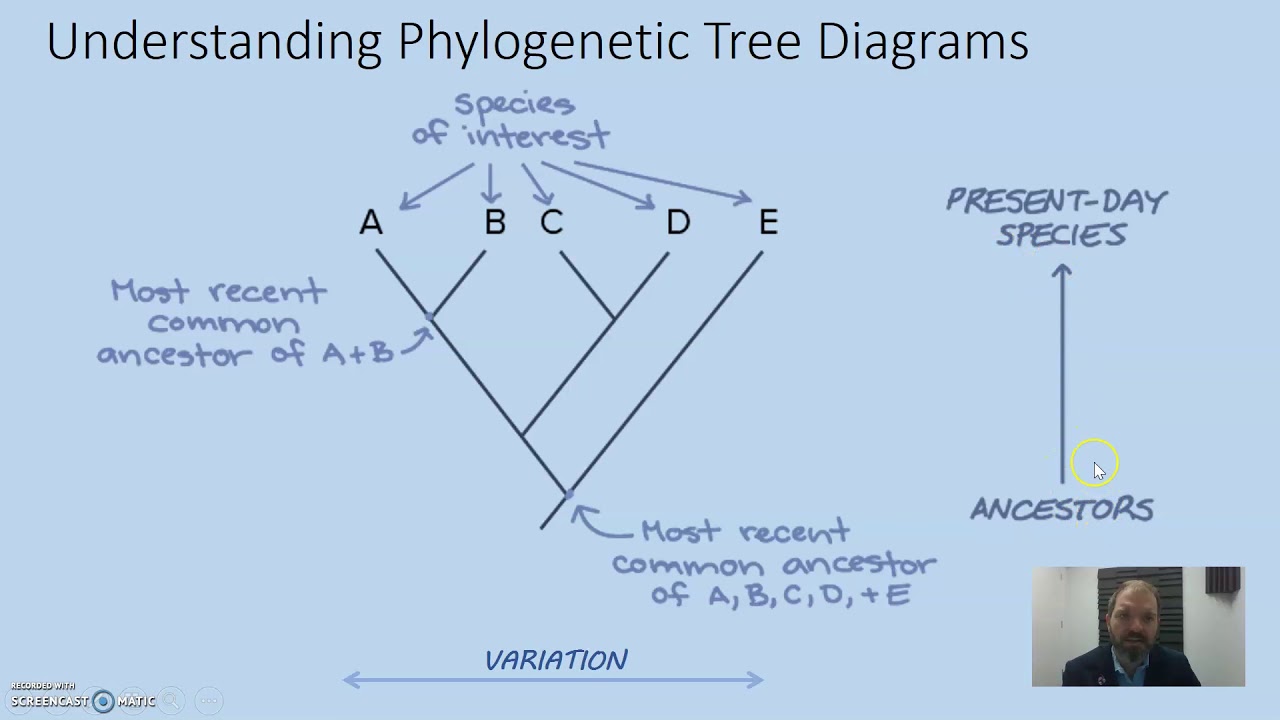Relatedness