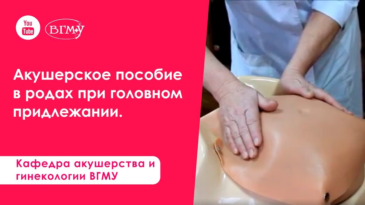 Акушерское пособие в родах при головном придлежании.