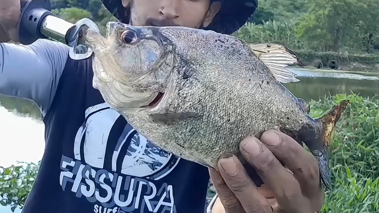 PESCARIA DE FINAL DE SEMANA SÓ DEU PIRANHA BRUTA 