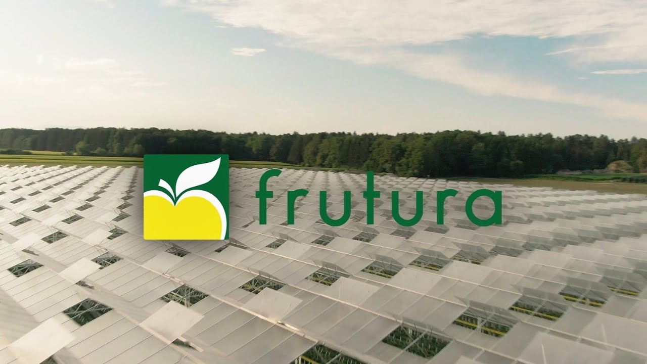 Frutura - We introduce ourselves!