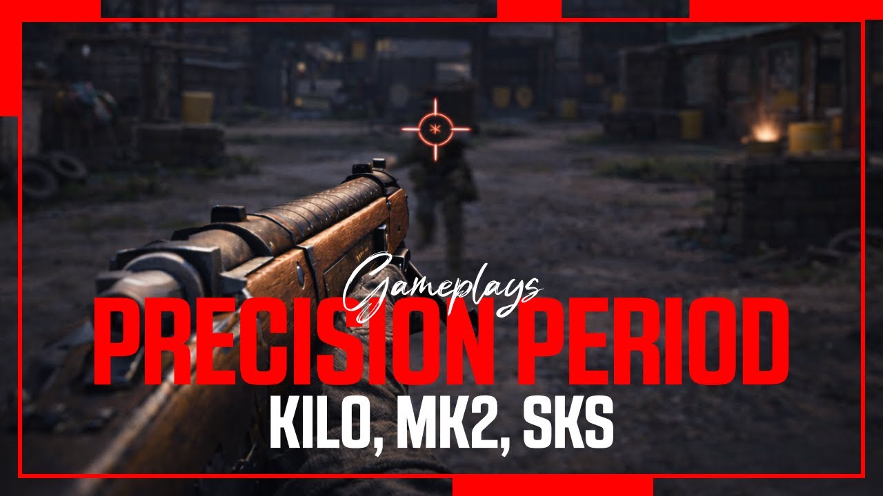 Marksman rifles – Precision Period
