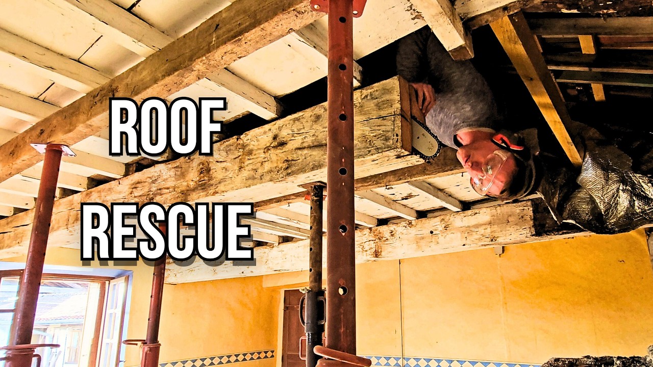 Saving Our Farmhouse Roof #14