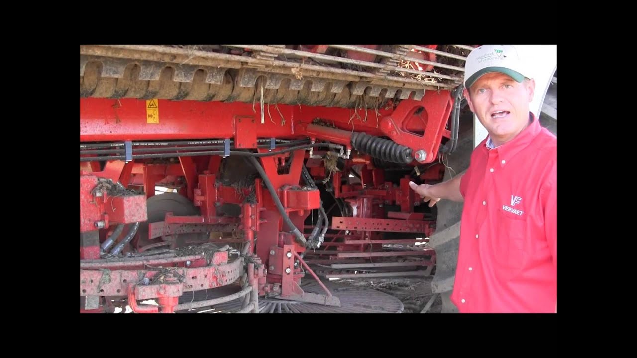 Vervaet Beeteater XL 25