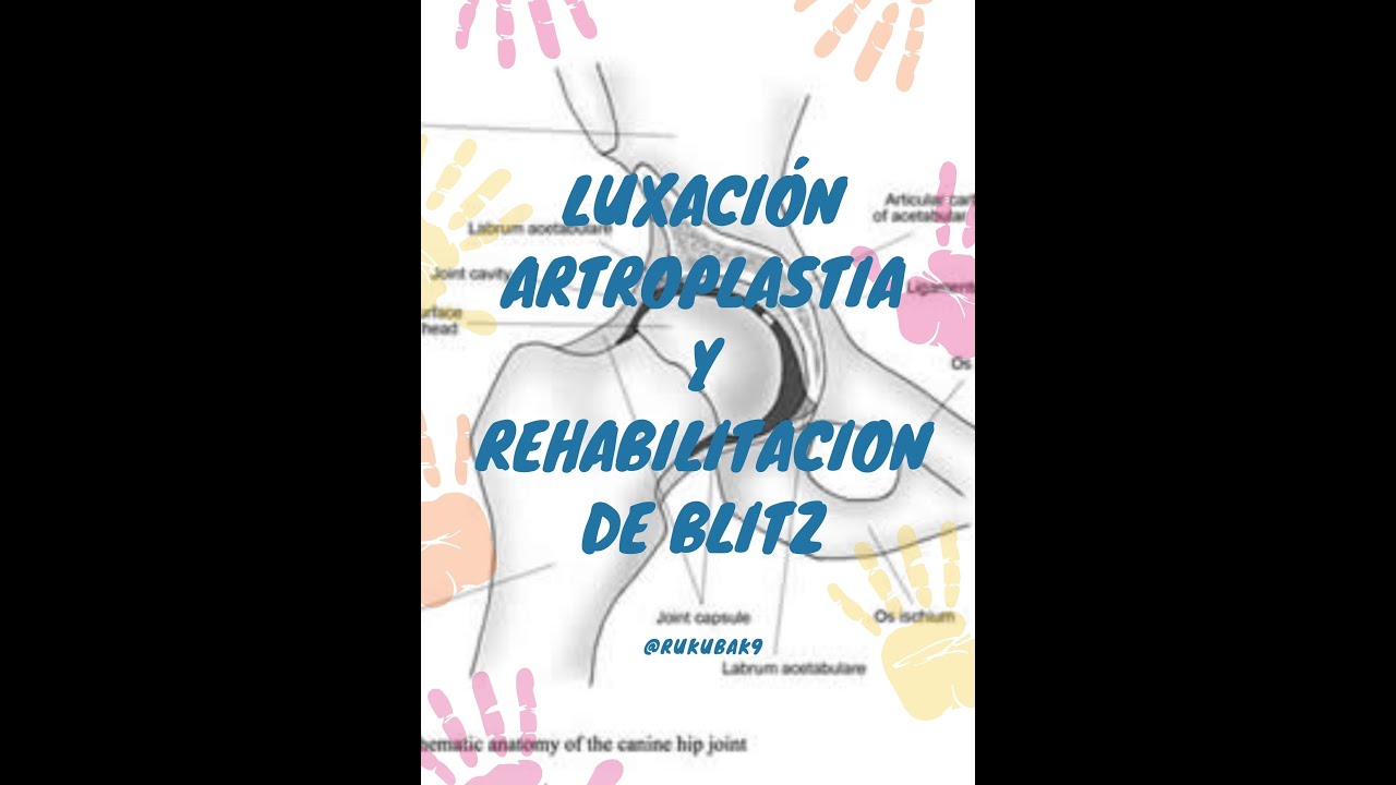 Artroplastia de cadera en perros