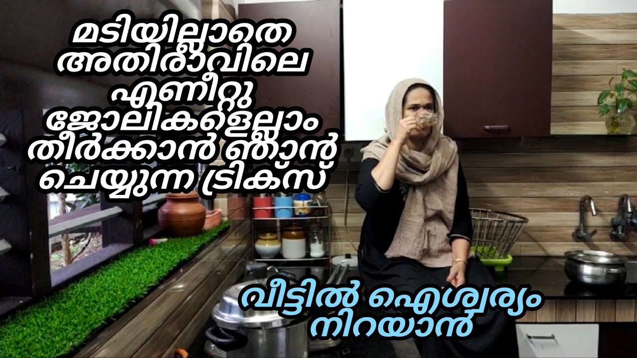 രാവിലെ ചിട്ടയോടെ ജോലികൾ തീർക്കാം/morning vlog/nesis archives/paripp cake