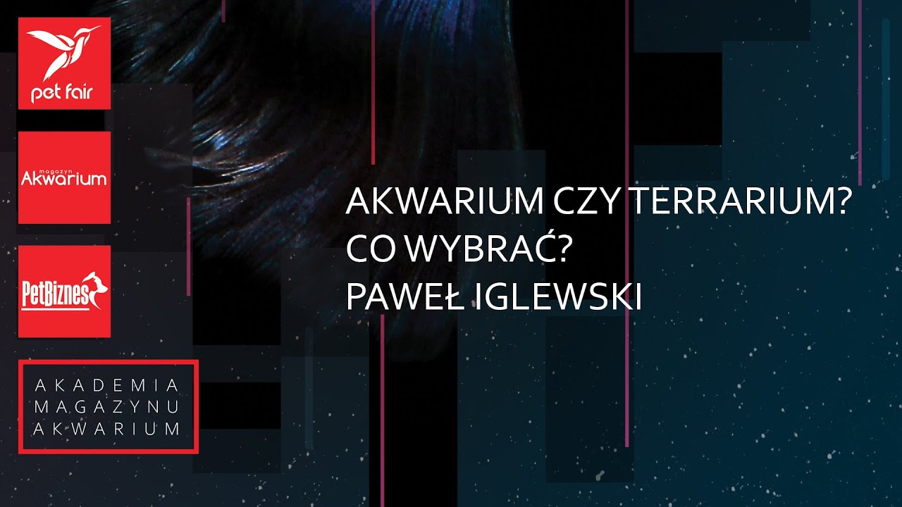Akwarium czy terrarium? Co wybrać? – Paweł Iglewski (Akademia Naturalnego Wiwarium)