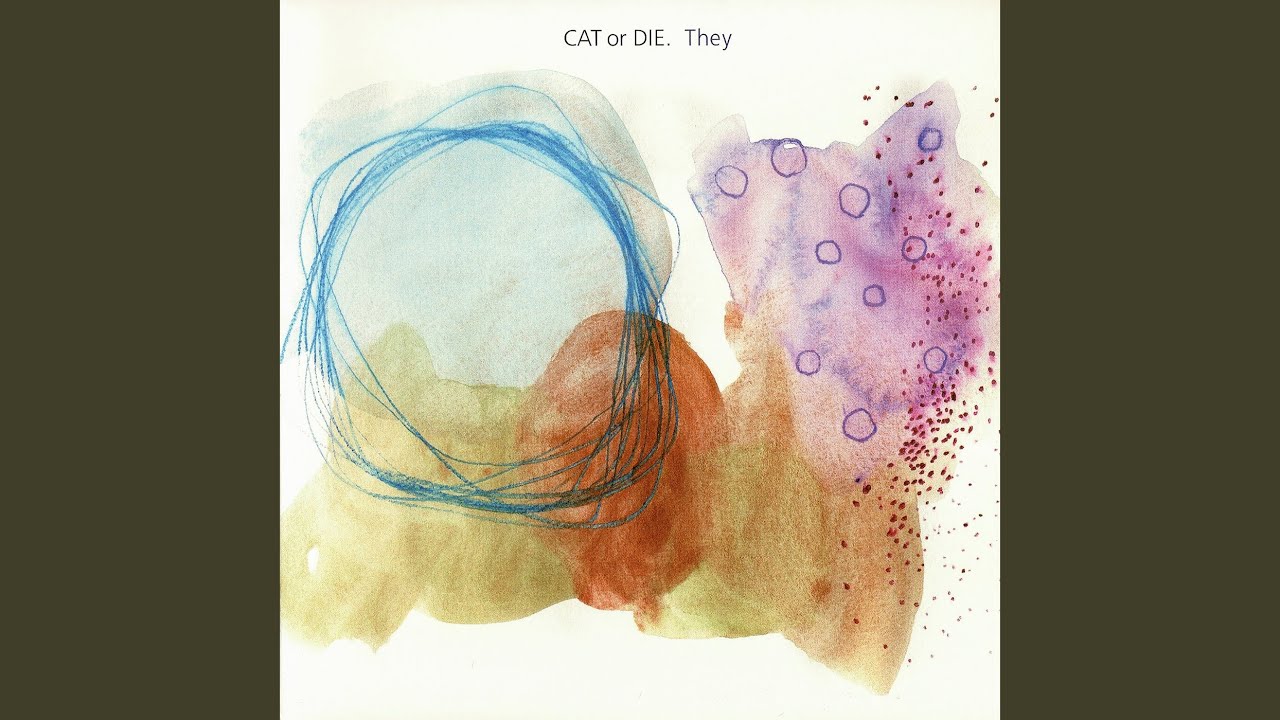 A Night at Hotel CAT or DIE