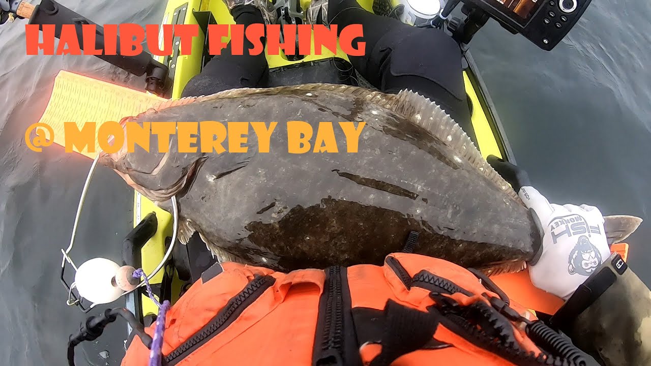 Monterey bay Halibut Fishing