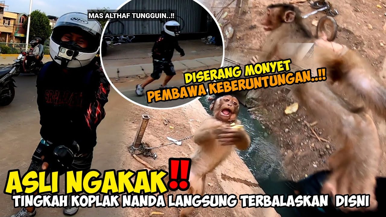 Asli ngakak❗Niat jahat Nanda sudah terbaca sekarang saat gw balikin ke dia bareng simonyit
