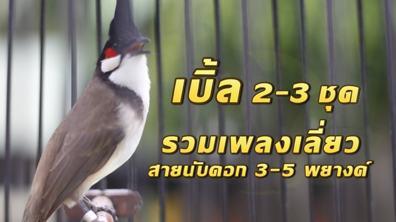 รวมเพลงเลี่ยว เบิ้ล2-3ชุด (สายนับดอก 3-5พยางค์) Stereo Mix 5.1 1ชั่วโมงกว่า