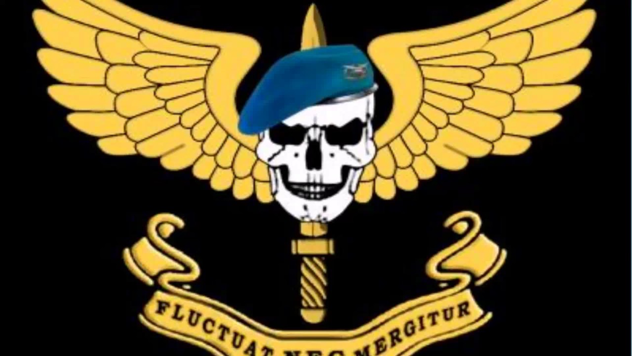 Boina Azul Policia Aérea