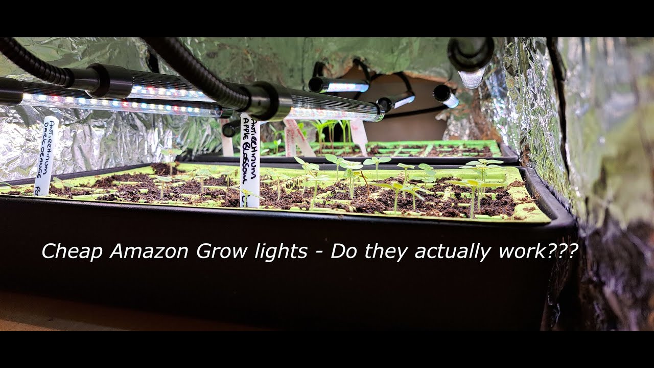 Cheap Amazon grow lights - Do they work? are they worth it?