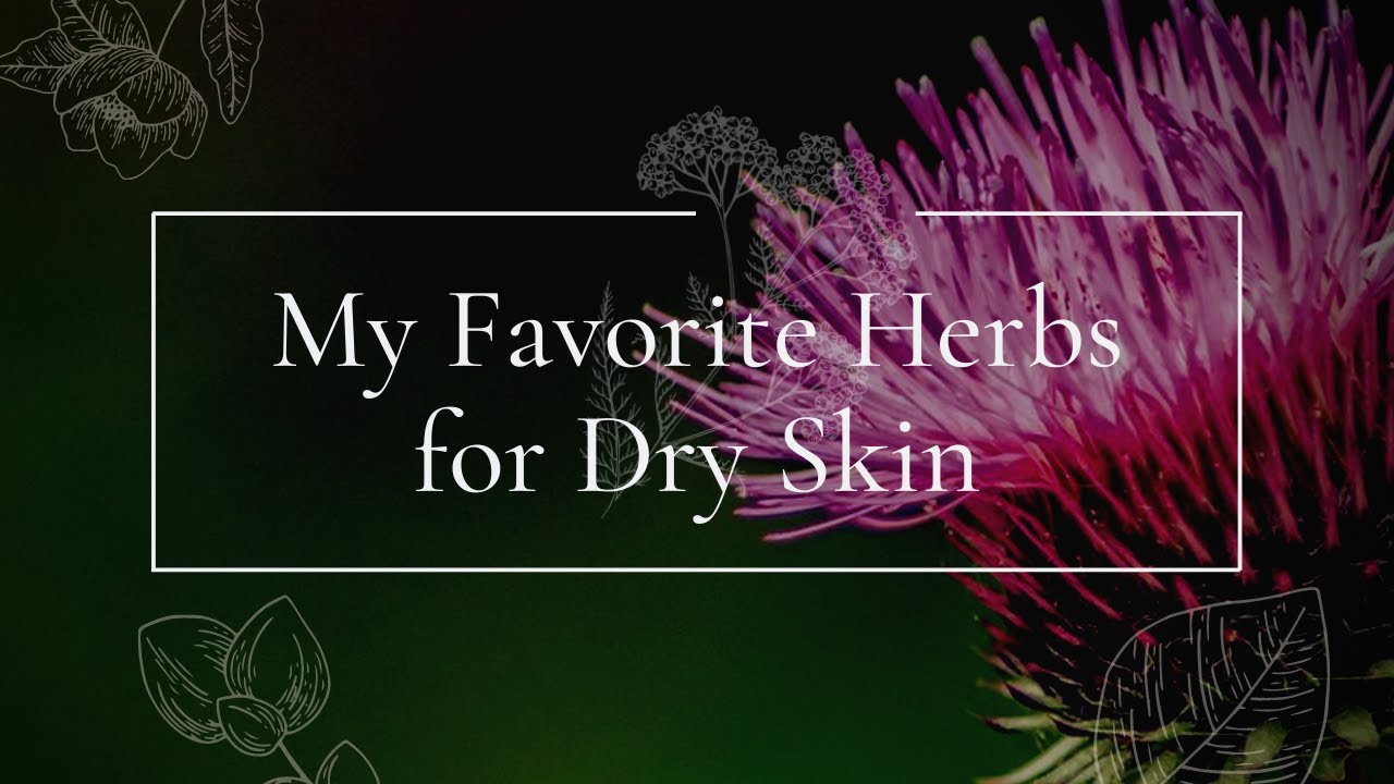 My Favorite Herbs for Dry Skin