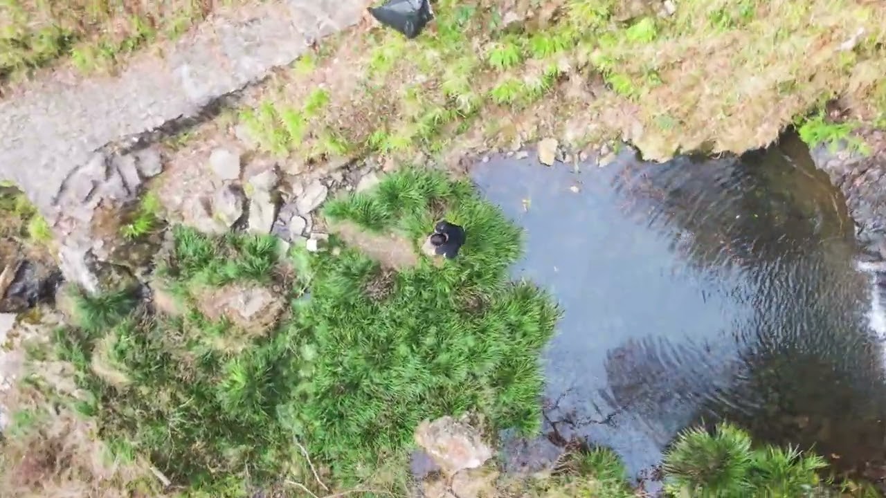 Goho Falls Escape: Part II 🌿💧
