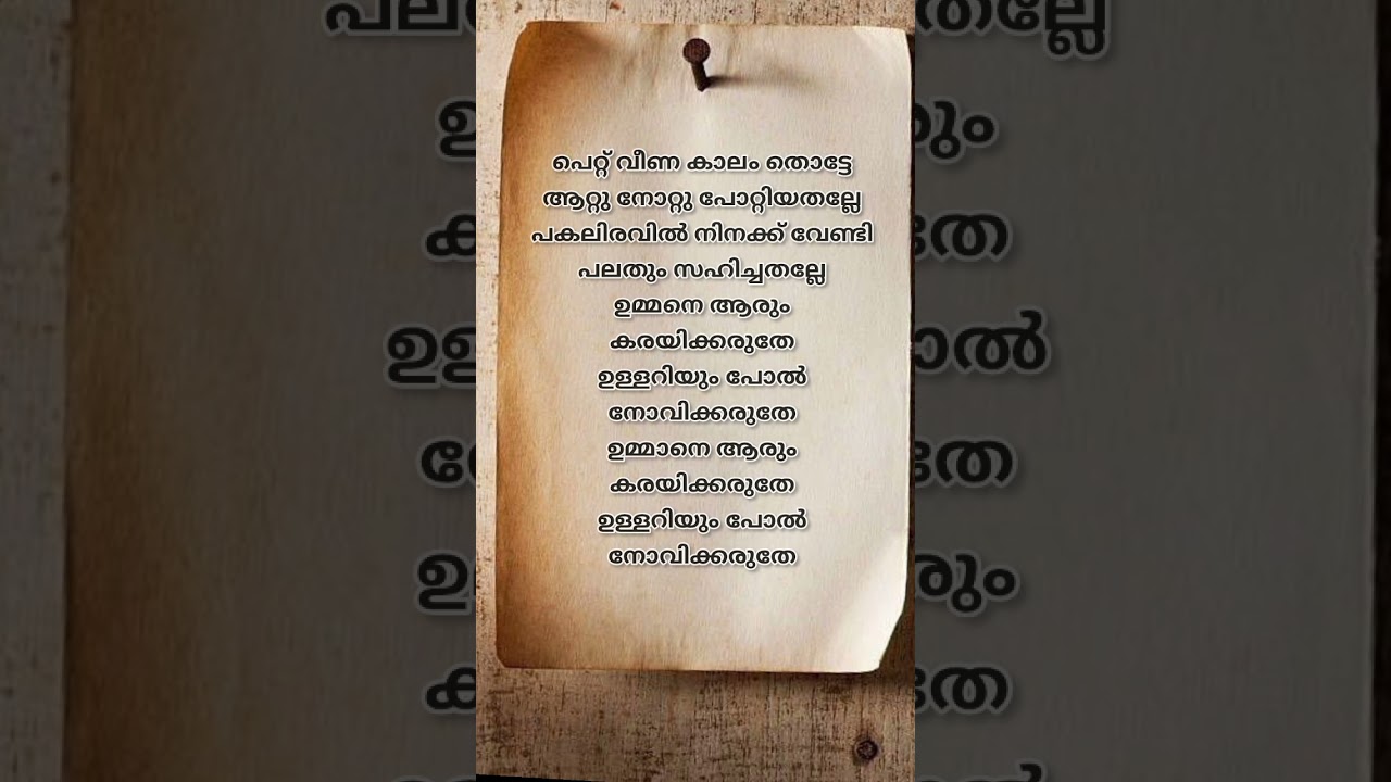 ഉമ്മ #trendingshorts #mappilappatt #songlyrics #viralvideo #love #lyrics #ummah #mappilappattukal