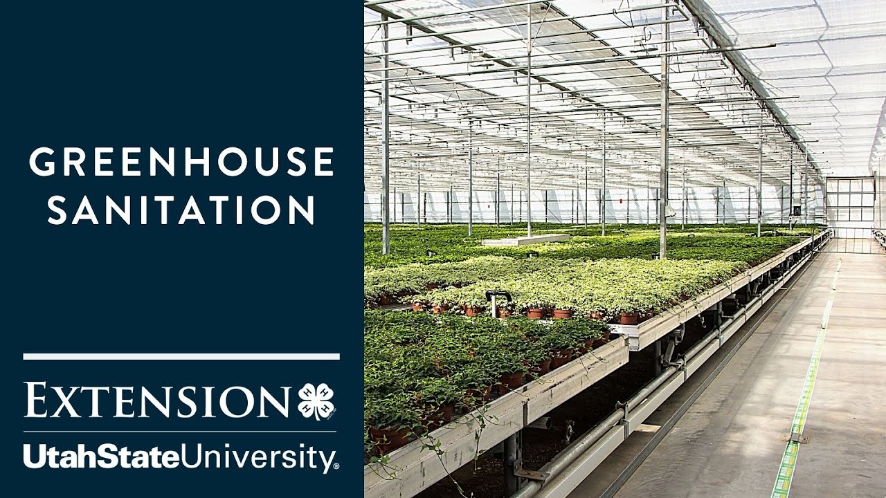 How to Prepare your Greenhouse for Planting