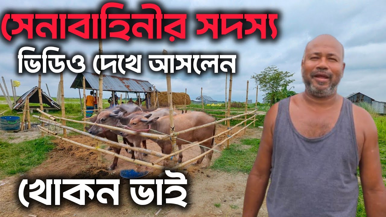 ভিডিও দেখে আসলেন অবসরপ্রাপ্ত সেনাবাহিনীর সদস্য। মহিষ পালনে নন্দলালপুর চর। mrrasel24