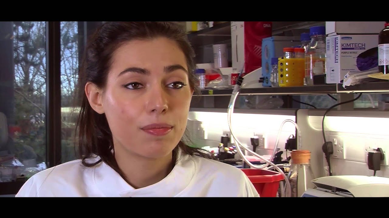 Work Placements - My Journey with Cancer Research UK