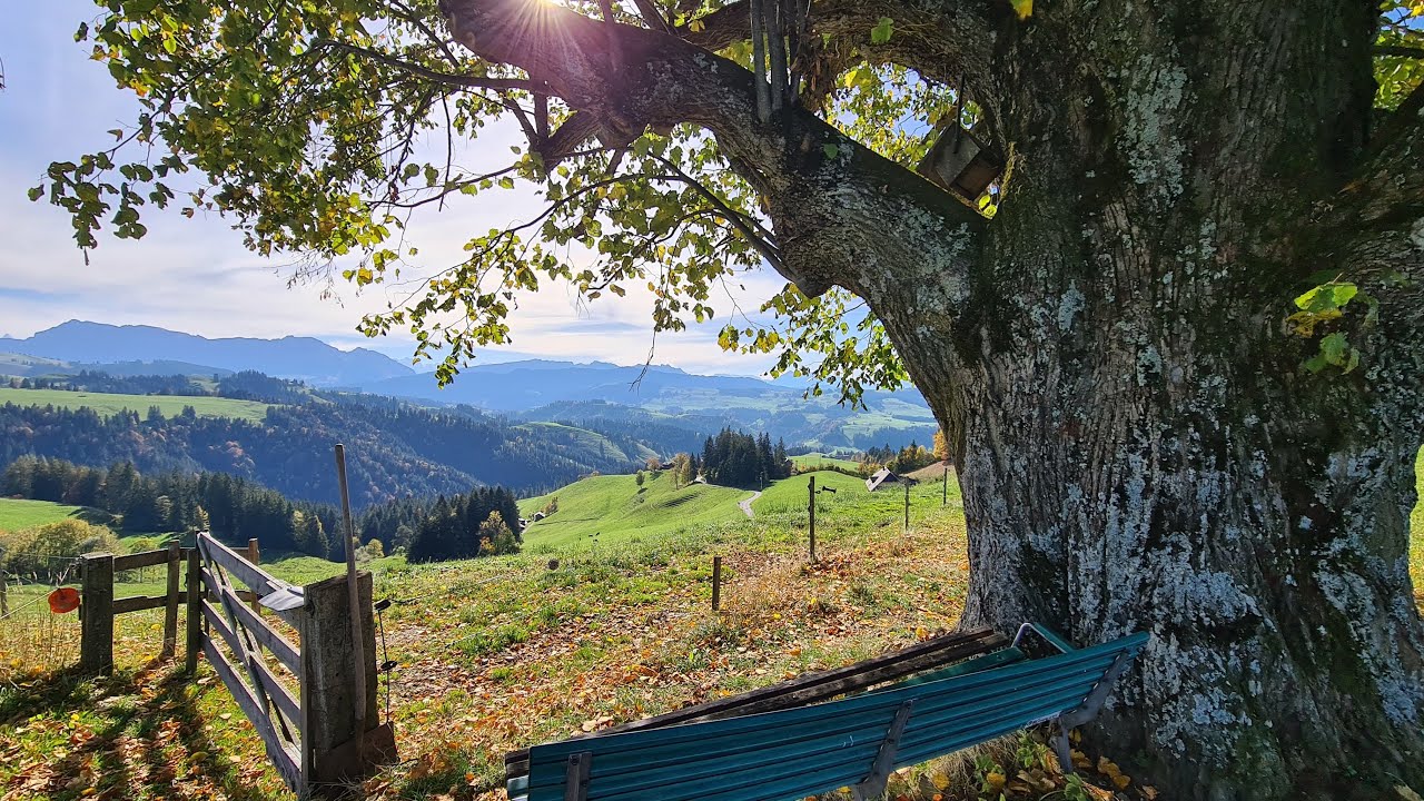 Vom Rämisgummen zum Hegeloch und weiter nach Langnau im Emmental