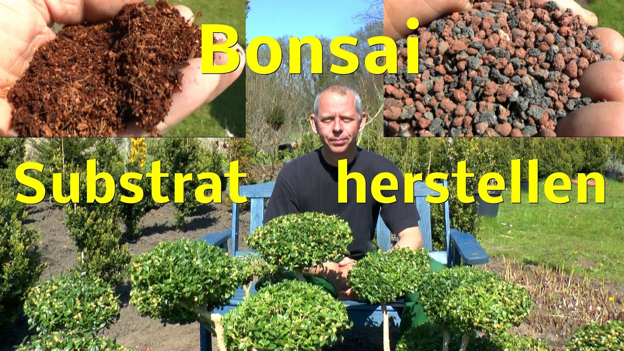 Bonsai Substrat selber mischen