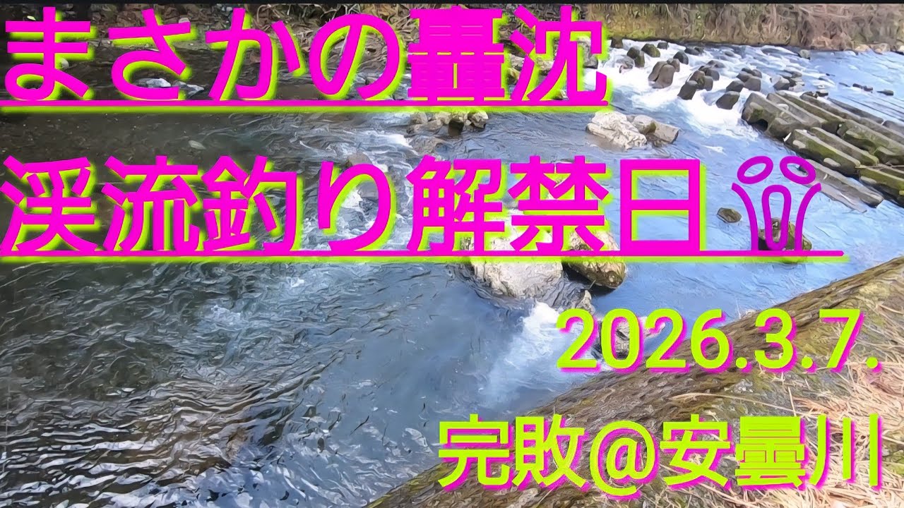 渓流釣り　安曇川　解禁日。腕が露呈しました。まさかの事態でした。