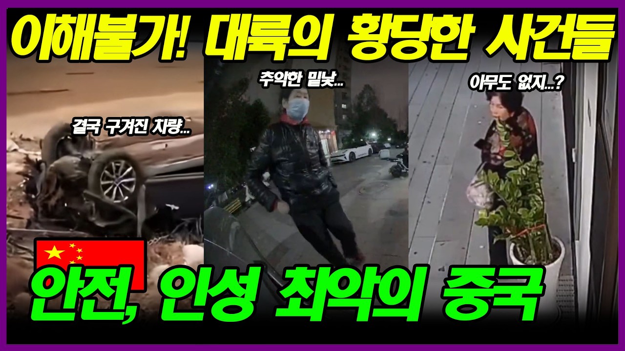 중국반응 | 정말 뭘 본 건가 싶은 황당함을 넘어 이해불가 대륙 사건들