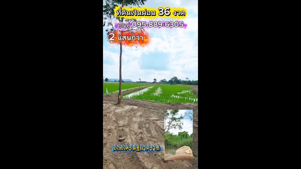 ใครเข้ามาชมแล้ว ถ้าชอบถูกใจ ฝากพิมพ์ ชอบ ให้ผมบ้างน่ะครับ 🙏🙏🙏 #บอยเศรษฐีนาคราช
