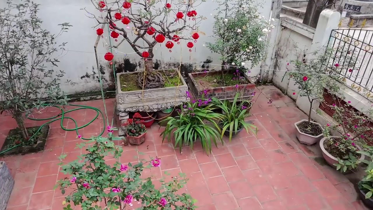 Sáng mùng 1/2026 có gì hot