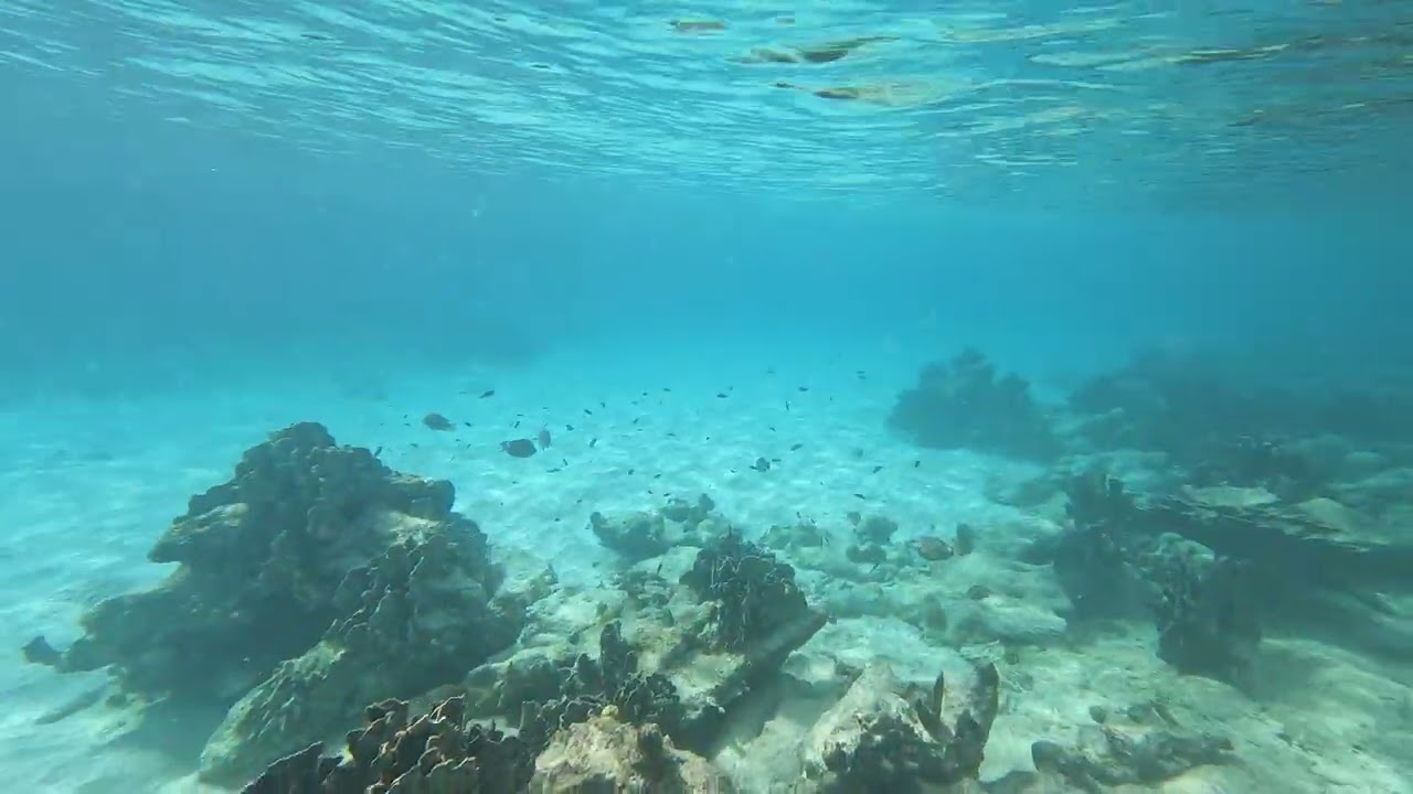 Villa Volans II Bonaire