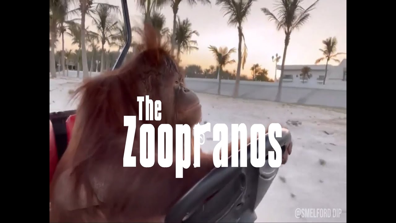 Zoopranos