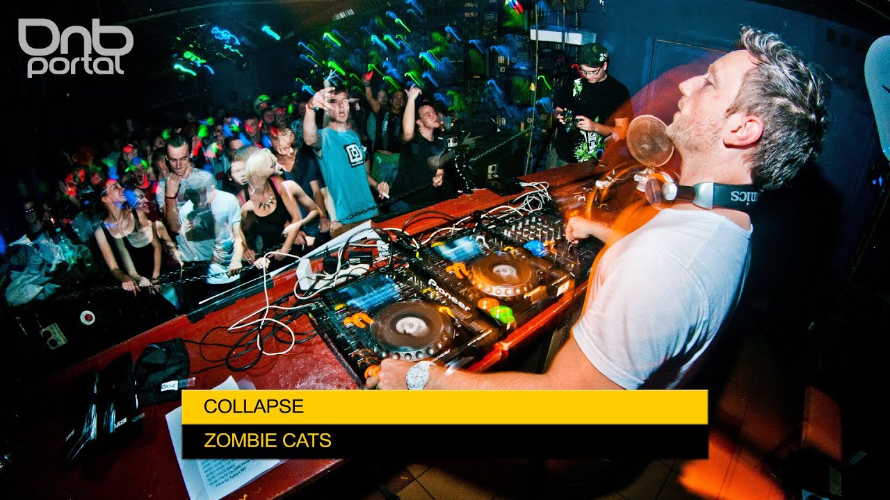 Zombie Cats - Collapse 2014 | Drum and Bass
