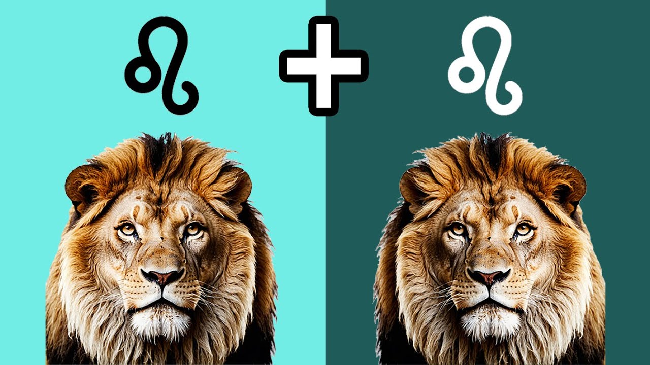 COMPATIBILIDAD LEO y LEO: Pasión y Poder en Equilibrio
