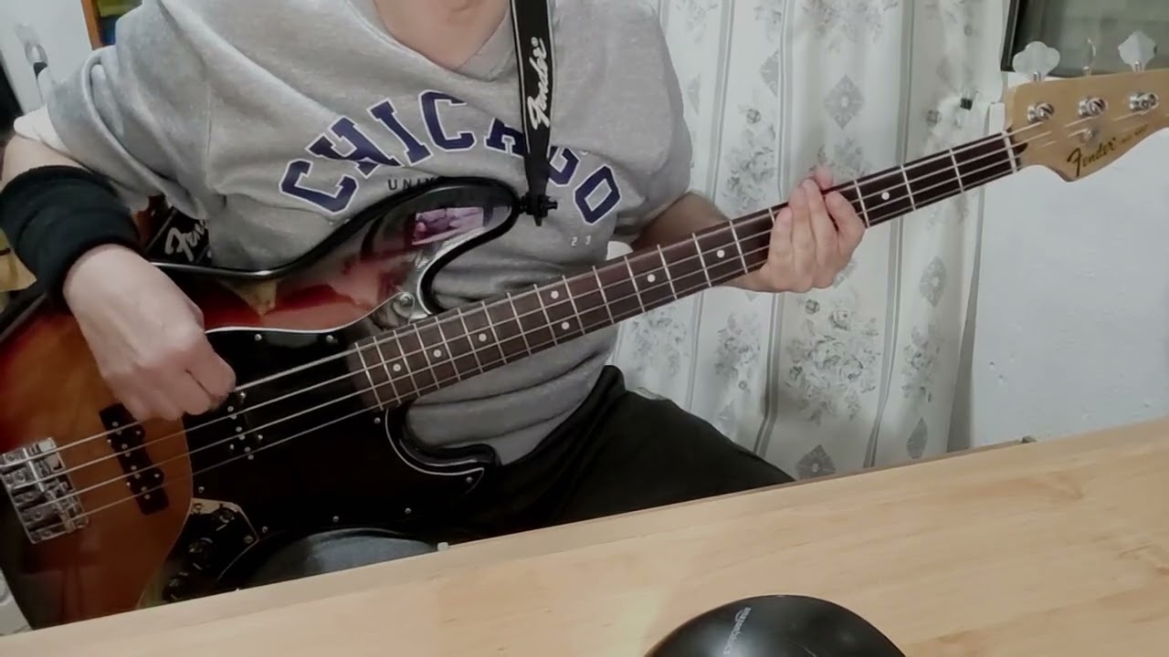 Bass cover 