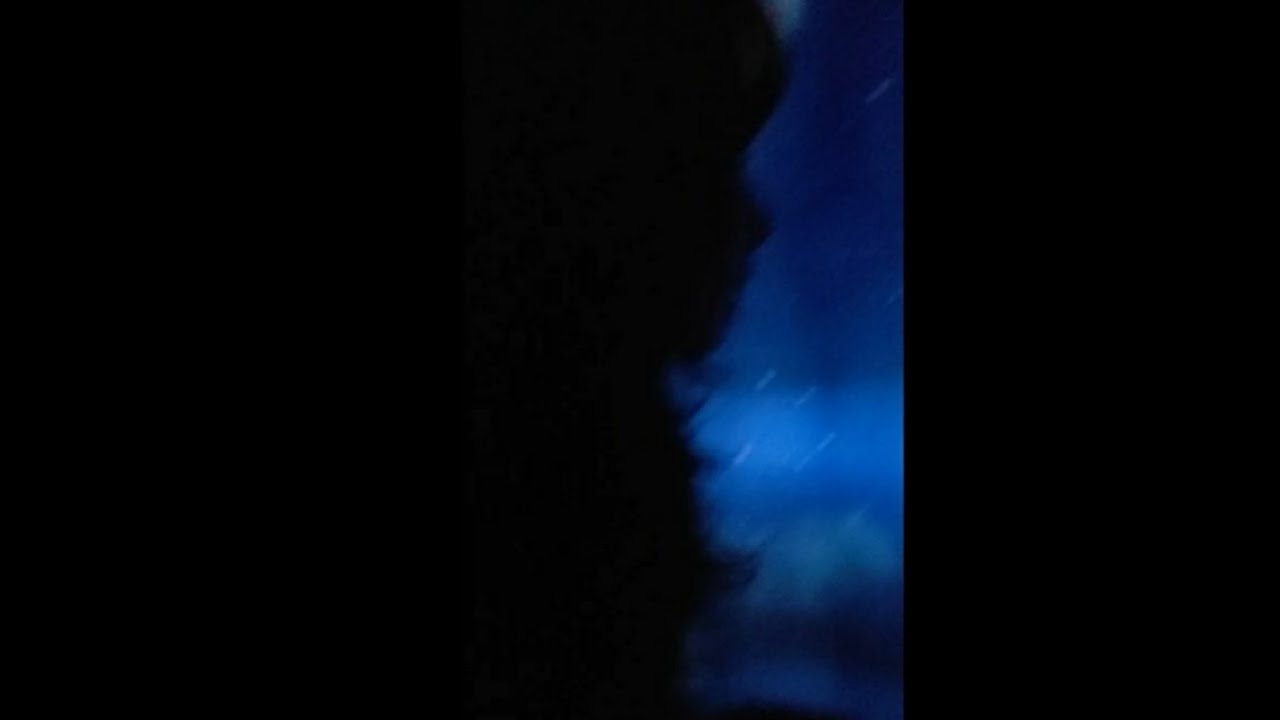 dalamb - i felt her like i was there (full album)