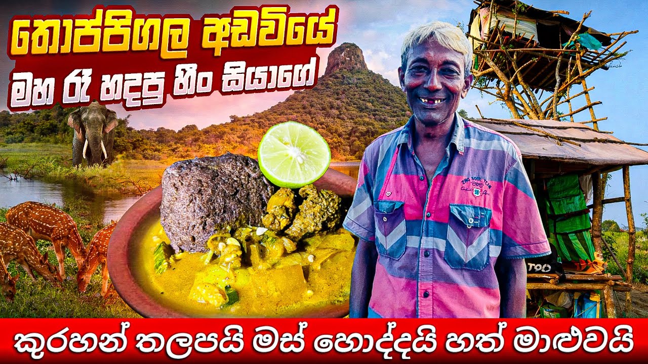තොප්පිගල අඩවියේ මහ රෑ හදපු හිං සියාගේ කුරහන් තලපයි මස් හොද්දයි හත් මාළුවයි #srilanka 