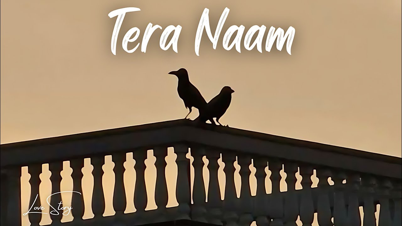 Tera Naam 🩶 | Panjabi Sad LoFi Song | Heart Touching Music