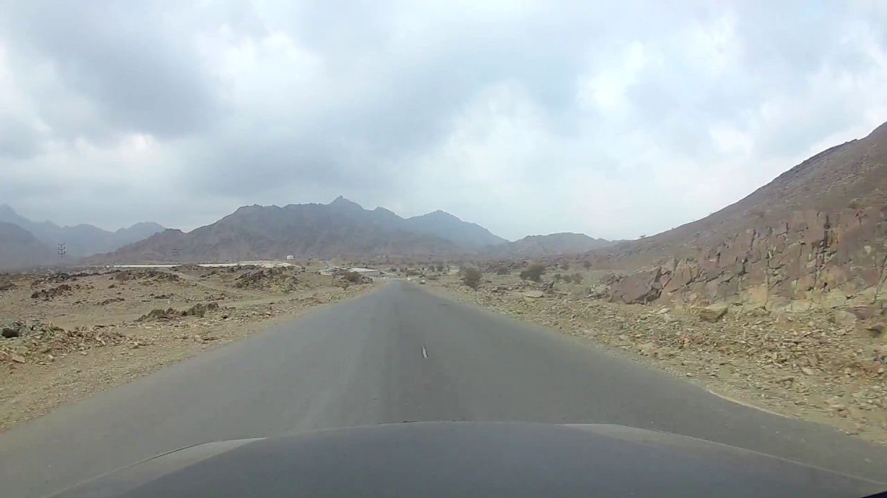 شيله يعذلونه