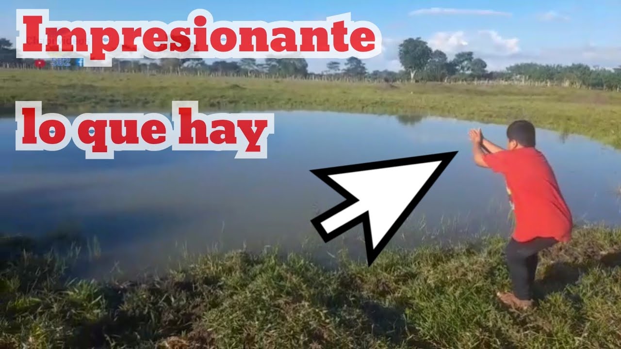 Las famosas AGUADAS de Peten Guatemala 🇬🇹/Que bonitas lagunas en el Potrero