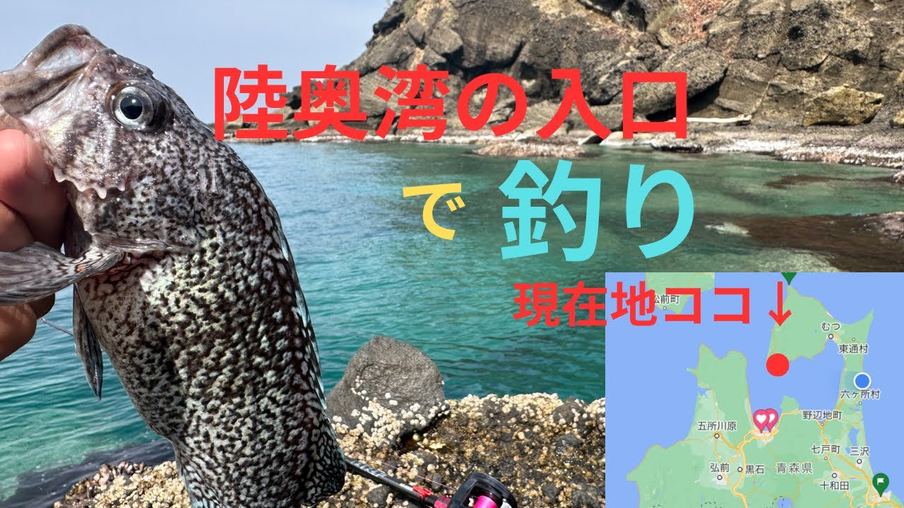 陸奥湾釣行！ヤバイポイント発見しました