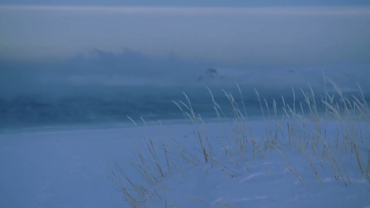 千の風になって  A Thousand Winds  千风      천의 바람이 되어 【Chromatic Harmonica】