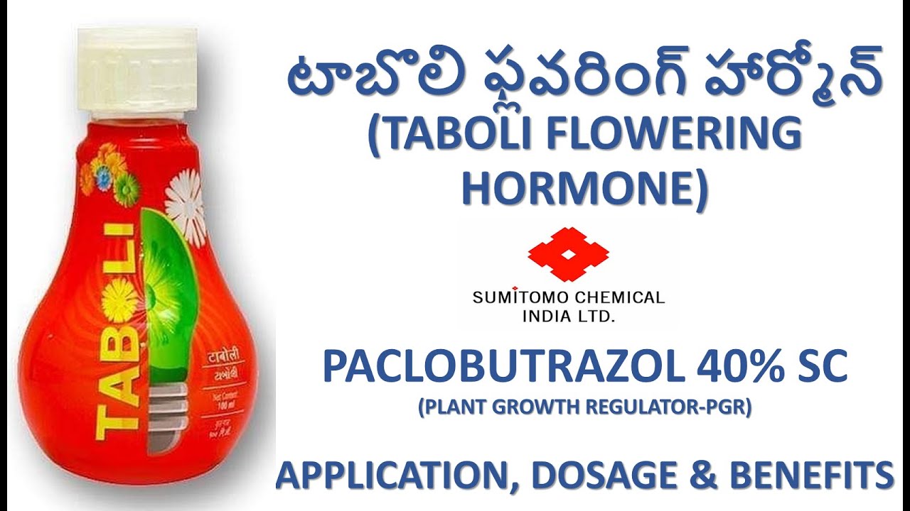 SUMITOMO TABOLI | PACLOBUTRAZOL 40% SC | FULL DETAILS IN TELUGU| FUTURE TECH AGRICULTURE
