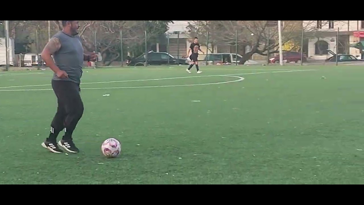 Juego amistoso de osos  campo la granja 