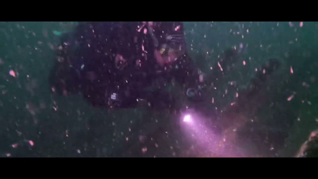Scuba Diving The Kyarra wreck in Swanage Uk. #bsac #scubadiving #wreck #diving #uk #coast #scuba