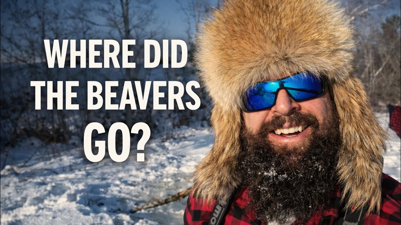Where Did the Beaver Go?  while Ice Camping
